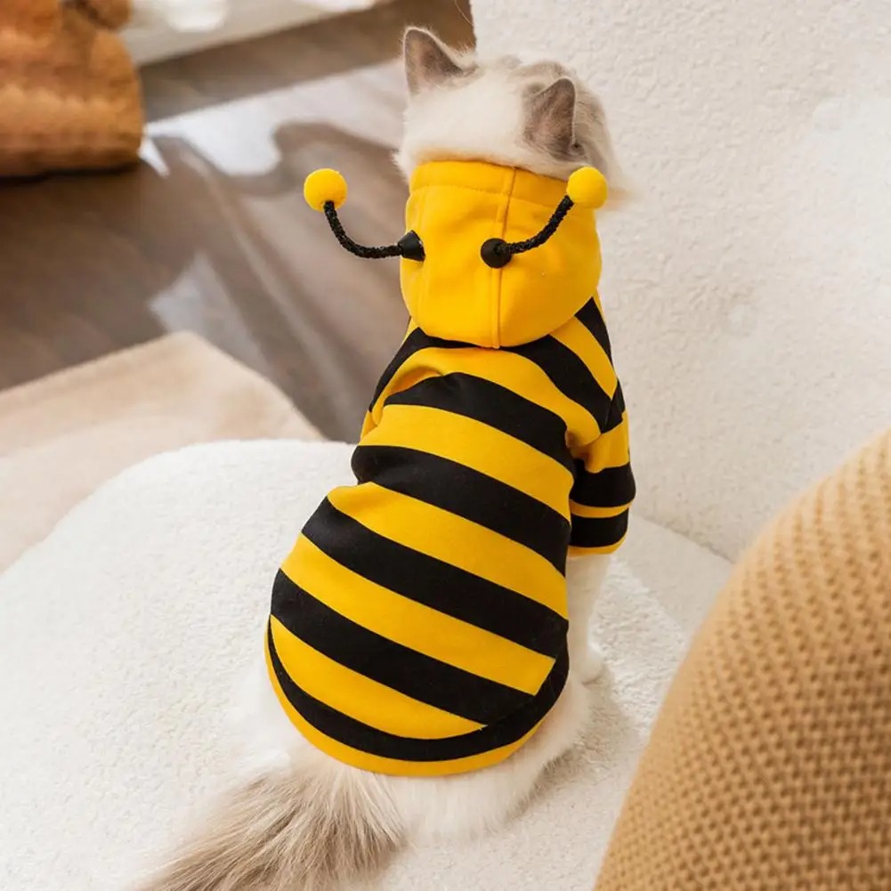 Winter Clothing For Dogs - เสื้อผ้าสัตว์เลี้ยงแมว สิ่งของสำหรับลูกแมว อุปกรณ์สุนัข สัตว์เลี้ยง สุนัข เสื้อกันหนาว