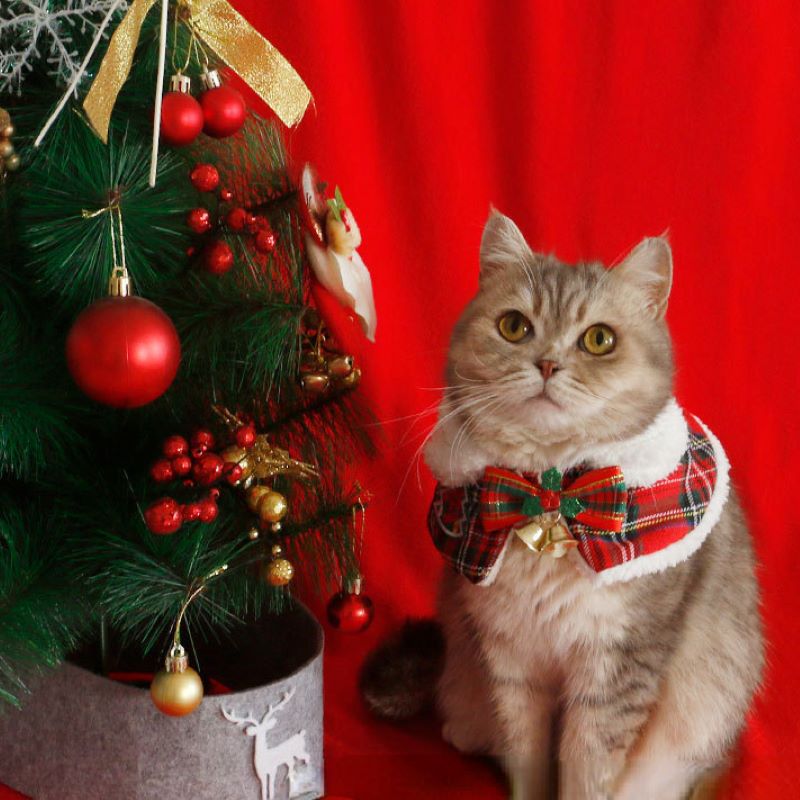 Winter Clothing For Dogs - แมวคริสต์มาสเสื้อคลุมสัตว์เลี้ยงใหม่ปี Cape Shawl ผ้าพันคอภาษาอังกฤษสั้นฤดูใบไม้ร่วงฤดูหนาวเสื้อผ้าน่ารักน่ารักอุปกรณ์เสริมลูกแมวสุนัข