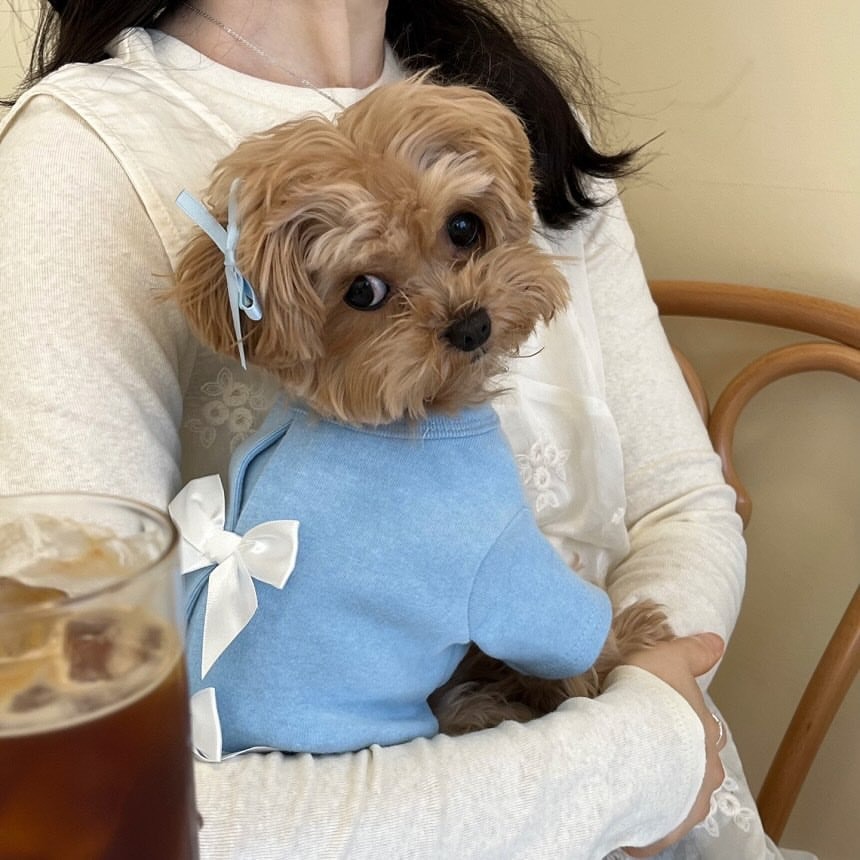 เสื้อผ้าสัตว์เลี้ยงแบบใหม่สำหร - Winter Clothing For Dogs บทวิจารณ์และราคา