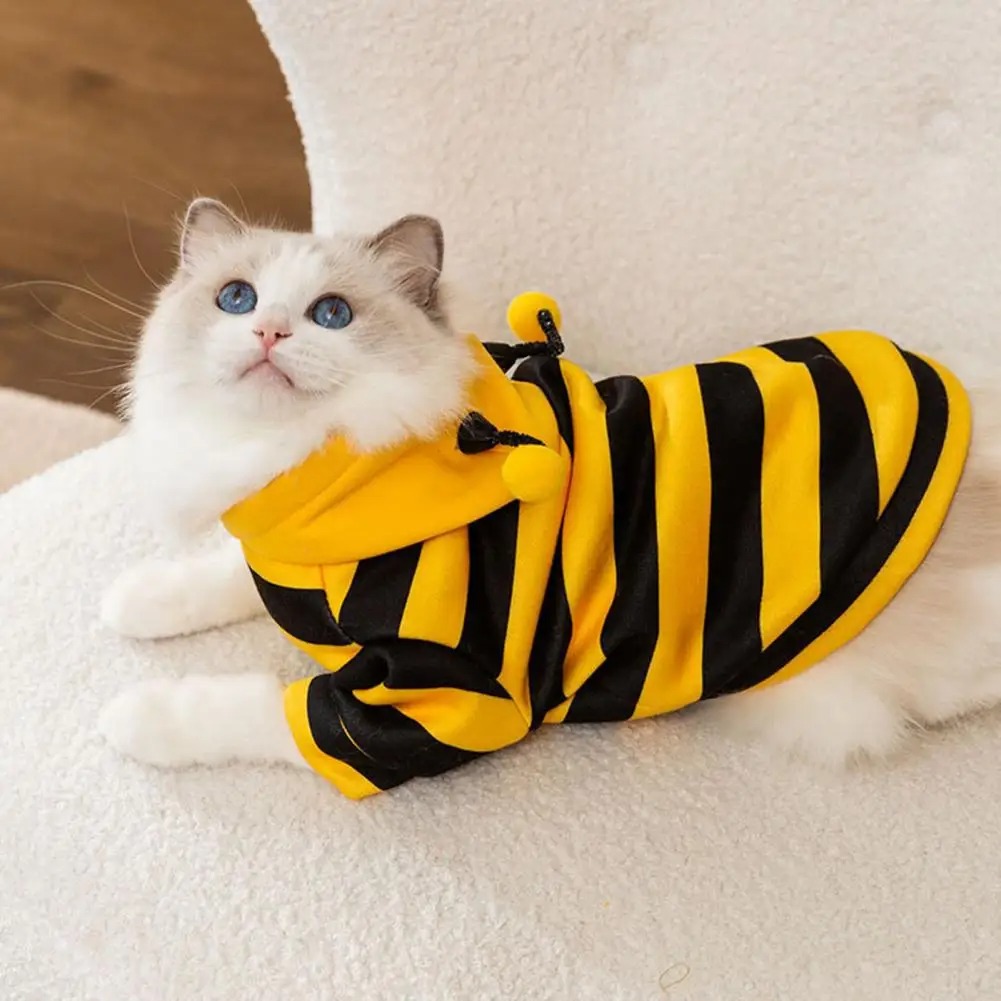 เสื้อผ้าสัตว์เลี้ยงแมว สิ่งของ - Winter Clothing For Dogs บทวิจารณ์และราคา