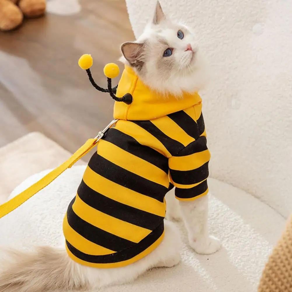 เสื้อผ้าสัตว์เลี้ยงแมว สิ่งของ - Winter Clothing For Dogs บทวิจารณ์และราคา