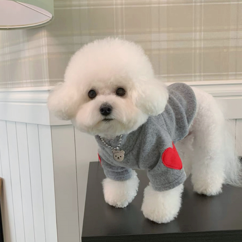 เสื้อซับในสำหรับสุนัขเสื้อสองข - Winter Clothing For Dogs บทวิจารณ์และราคา