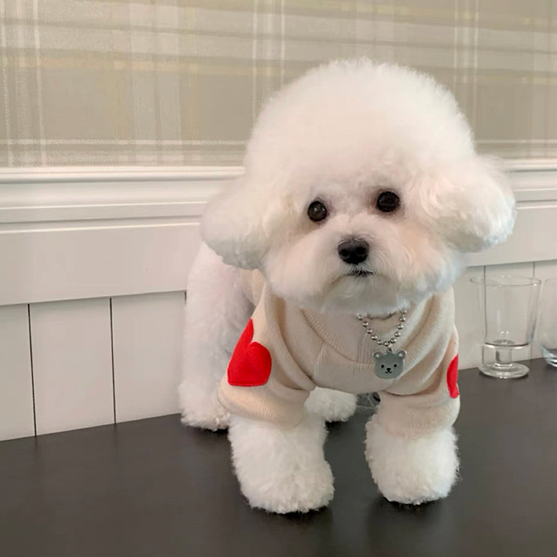 เสื้อซับในสำหรับสุนัขเสื้อสองข - Winter Clothing For Dogs บทวิจารณ์และราคา