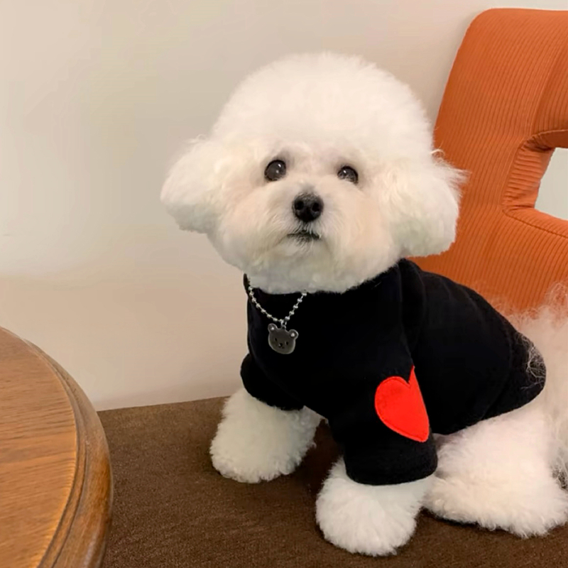 เสื้อซับในสำหรับสุนัขเสื้อสองข - Winter Clothing For Dogs บทวิจารณ์และราคา