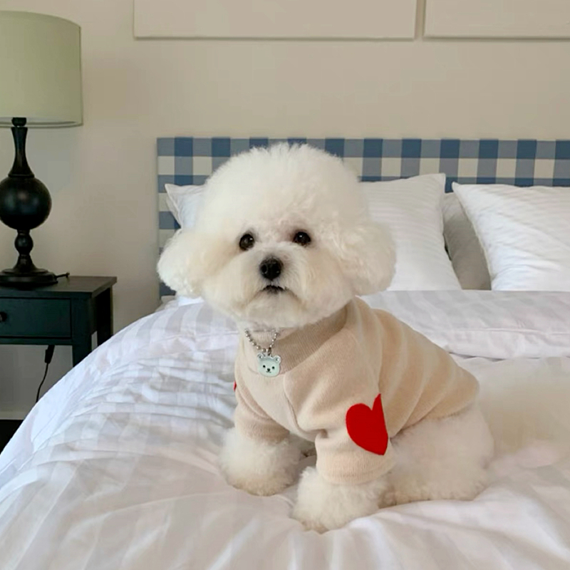เสื้อซับในสำหรับสุนัขเสื้อสองข - Winter Clothing For Dogs บทวิจารณ์และราคา