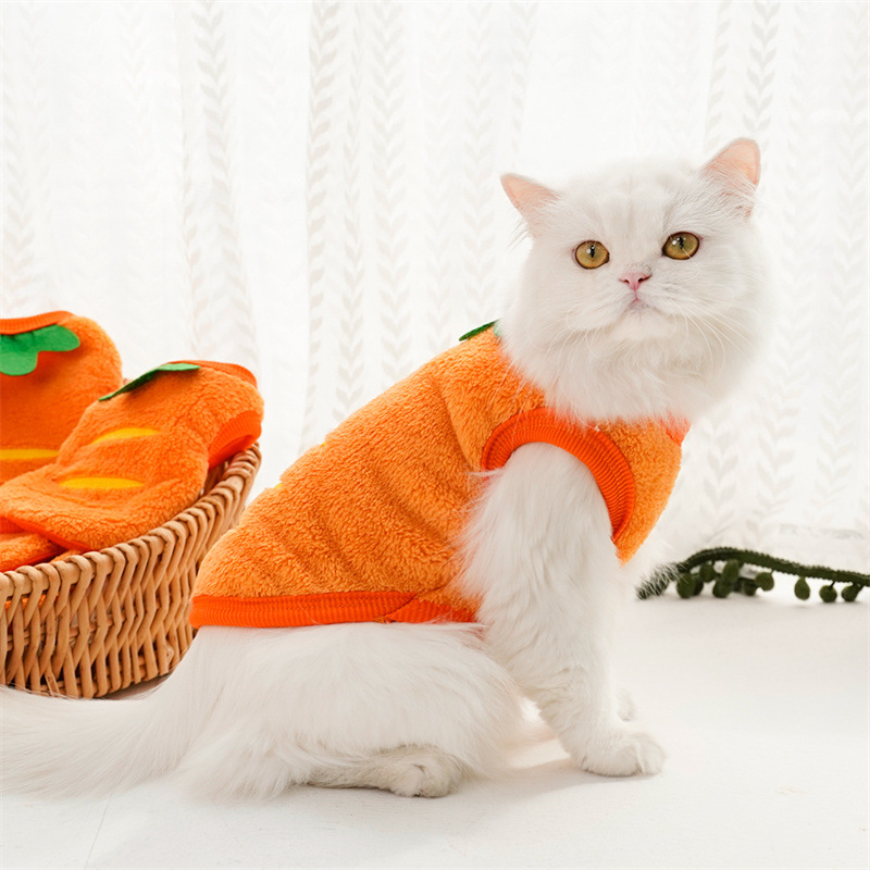 เสื้อผ้าสัตว์เลี้ยงฤดูหนาว WAR - Winter Clothing For Dogs บทวิจารณ์และราคา