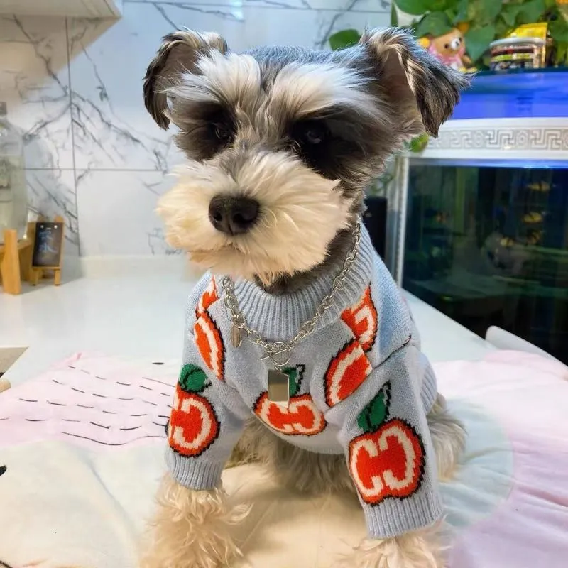 เสื้อสเวตเตอร์ลายตัวอักษรสำหรั - Winter Clothing For Dogs บทวิจารณ์และราคา