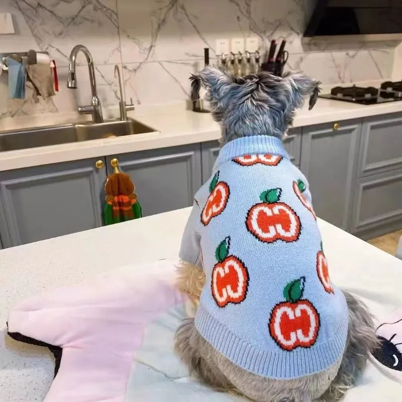 เสื้อสเวตเตอร์ลายตัวอักษรสำหรั - Winter Clothing For Dogs บทวิจารณ์และราคา