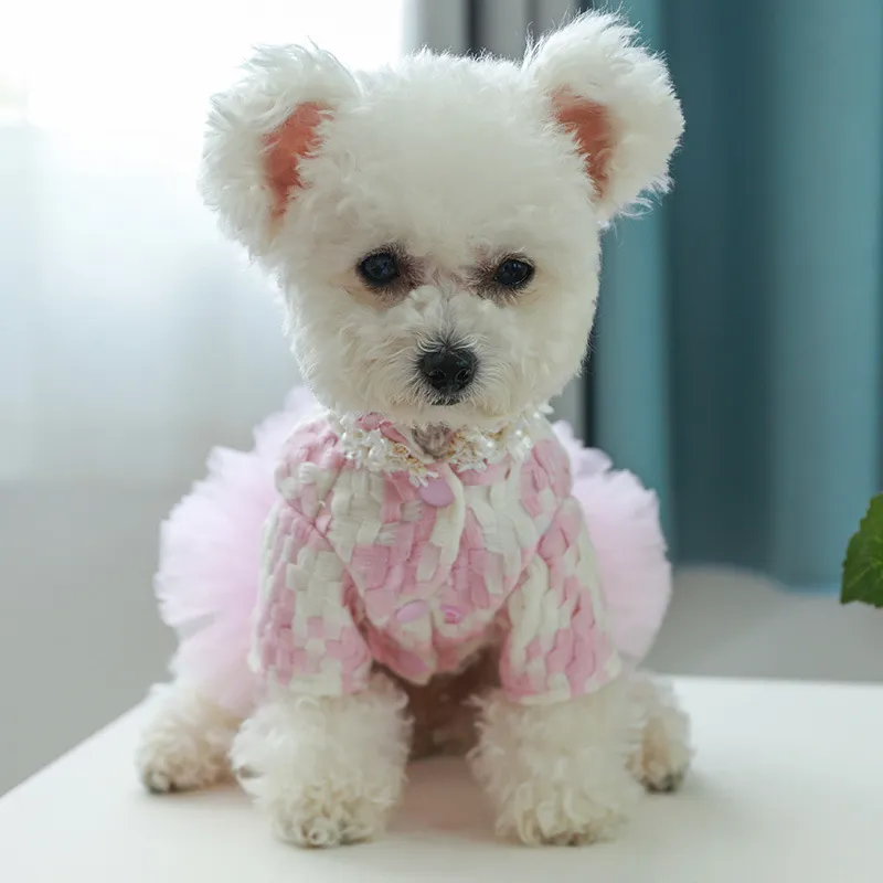 ชุดเดรสสุนัข Bg Tutu Star สำหร - Winter Clothing For Dogs บทวิจารณ์และราคา