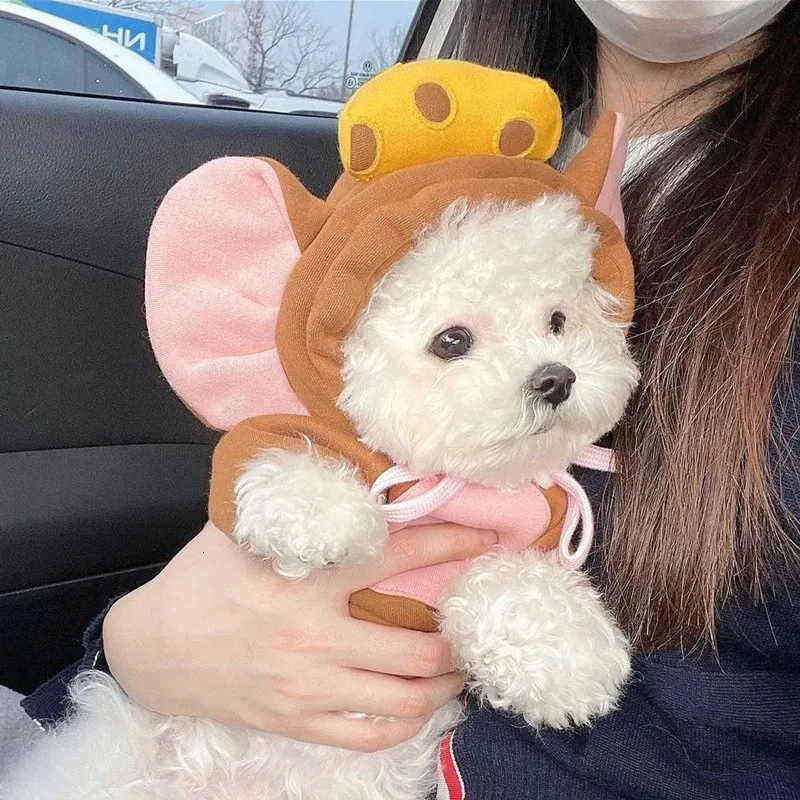 เสื้อฮู้ดสัตว์เลี้ยงสำหรับฤดูใ - Winter Clothing For Dogs บทวิจารณ์และราคา