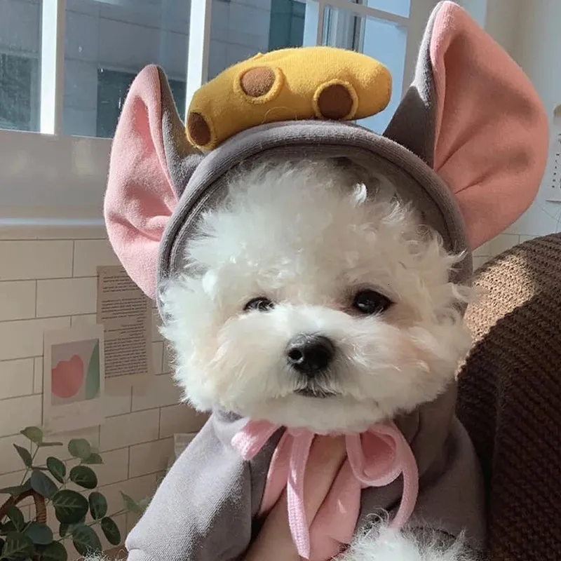 เสื้อฮู้ดสัตว์เลี้ยงสำหรับฤดูใ - Winter Clothing For Dogs บทวิจารณ์และราคา