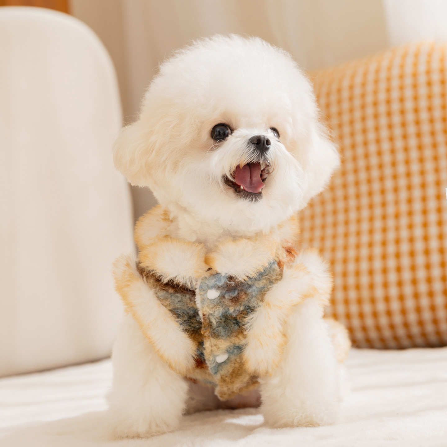 เสื้อกั๊กกำมะหยี่สำหรับสุนัขตั - Winter Clothing For Dogs บทวิจารณ์และราคา