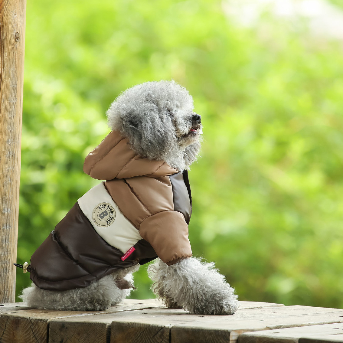 เสื้อผ้าสุนัข เสื้อกันหนาวสุนั - Winter Clothing For Dogs บทวิจารณ์และราคา