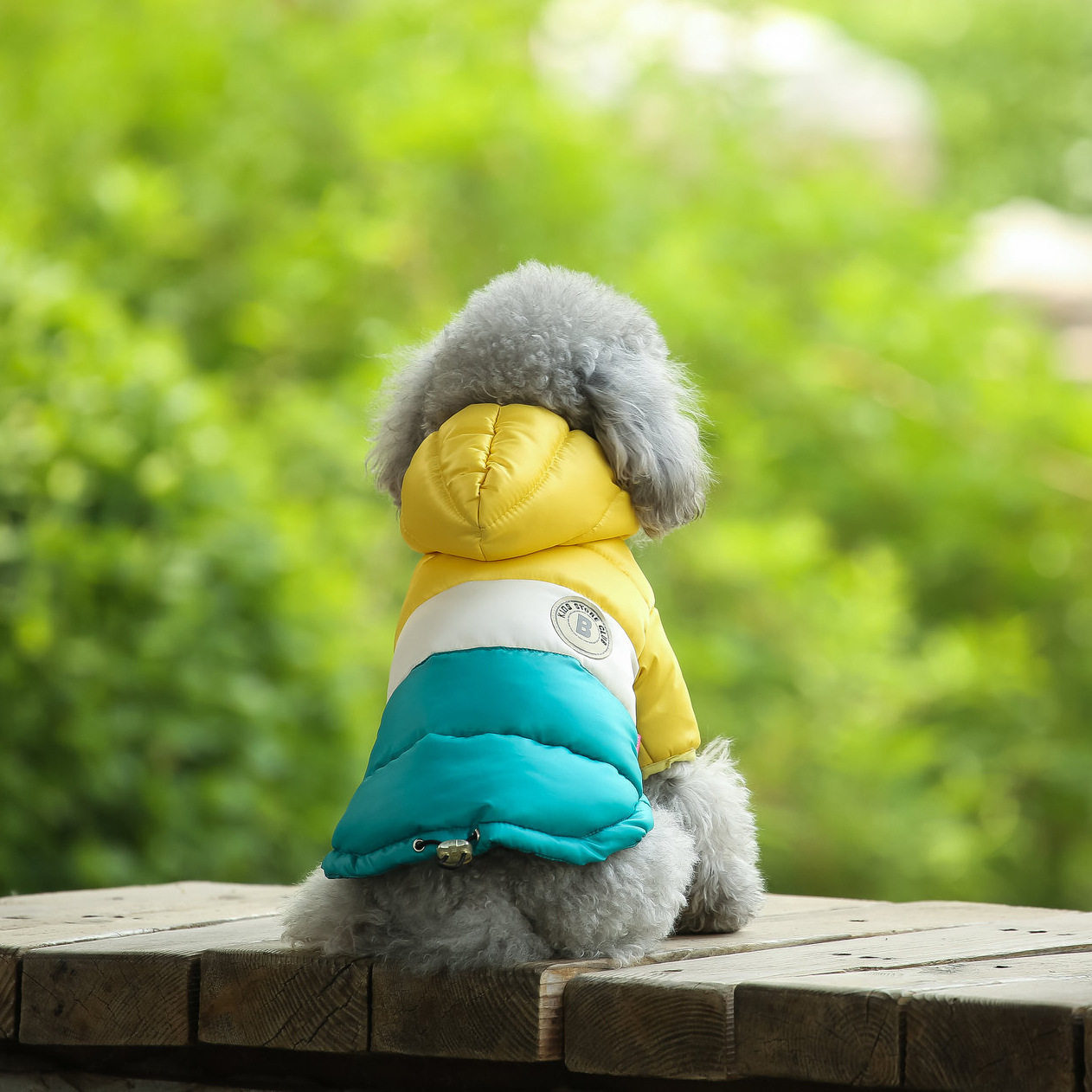 เสื้อผ้าสุนัข เสื้อกันหนาวสุนั - Winter Clothing For Dogs บทวิจารณ์และราคา