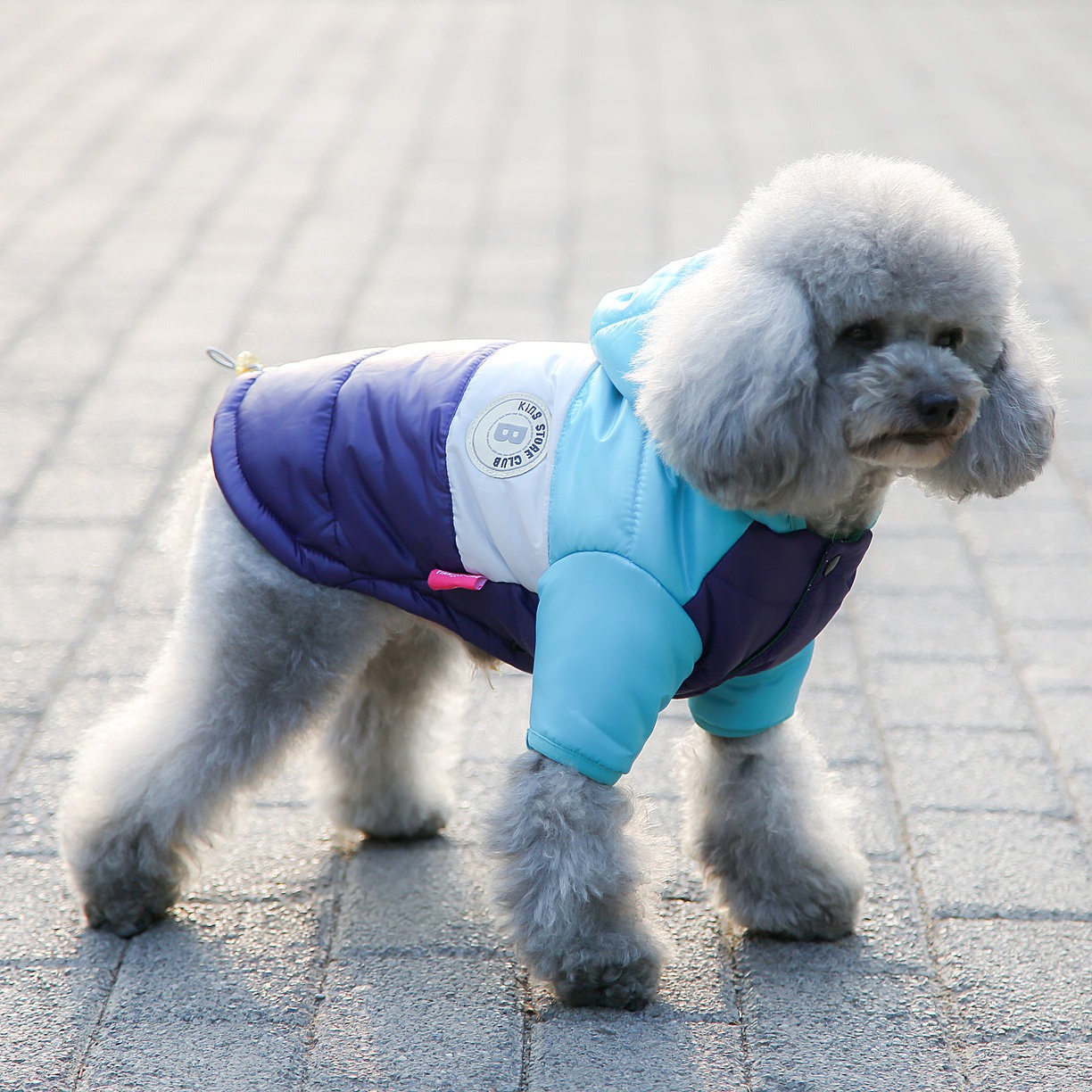 เสื้อผ้าสุนัข เสื้อกันหนาวสุนั - Winter Clothing For Dogs บทวิจารณ์และราคา